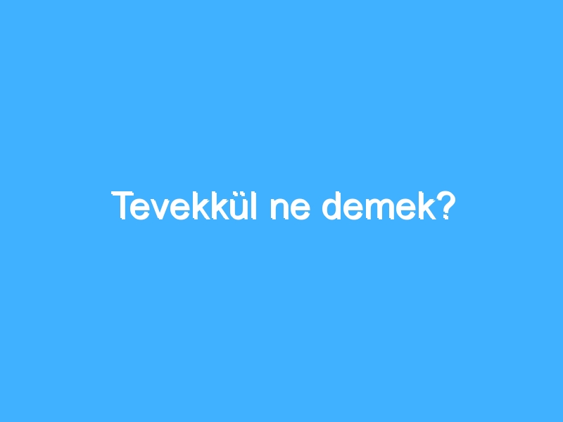 Tevekkül ne demek?