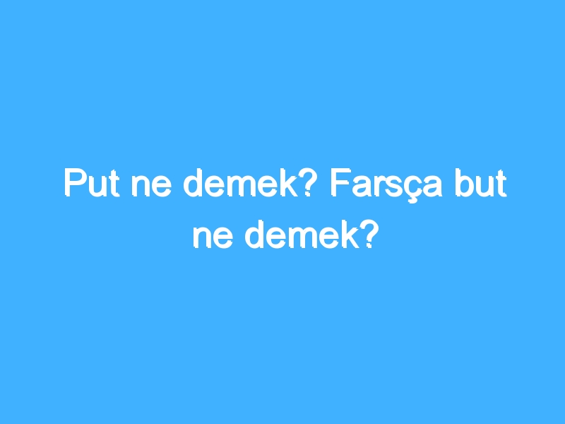 Put ne demek? Farsça but ne demek?