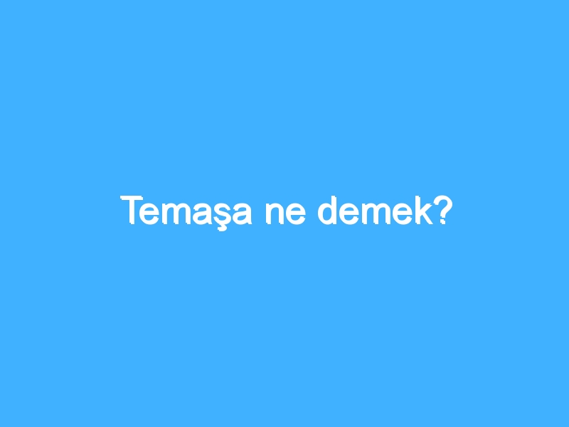 Temaşa ne demek?