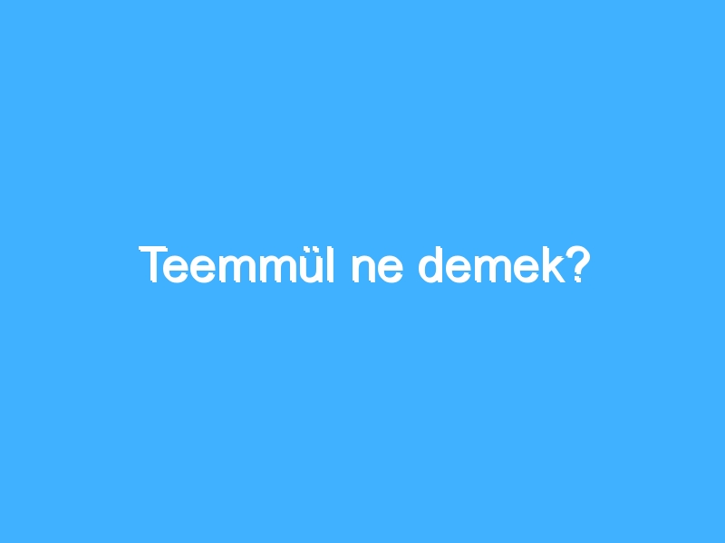 Teemmül ne demek?