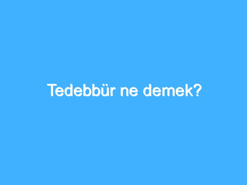 Tedebbür ne demek?