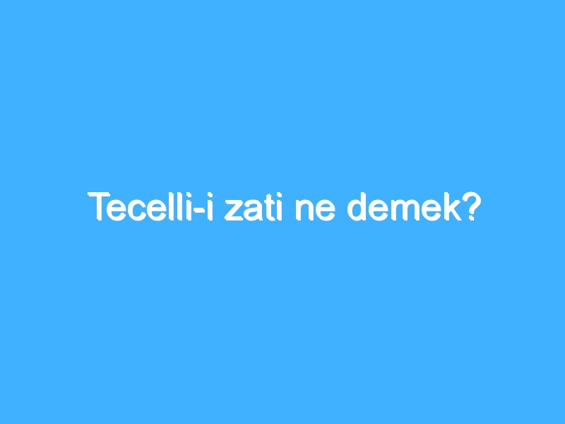 Tecelli-i zati ne demek?