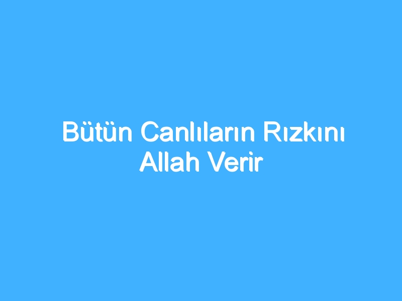 Bütün Canlıların Rızkını Allah Verir