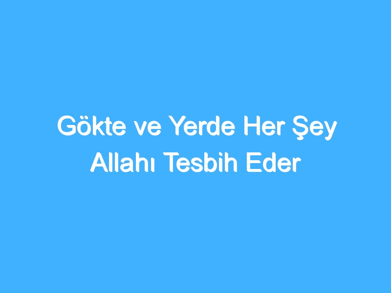 Gökte ve Yerde Her Şey Allahı Tesbih Eder