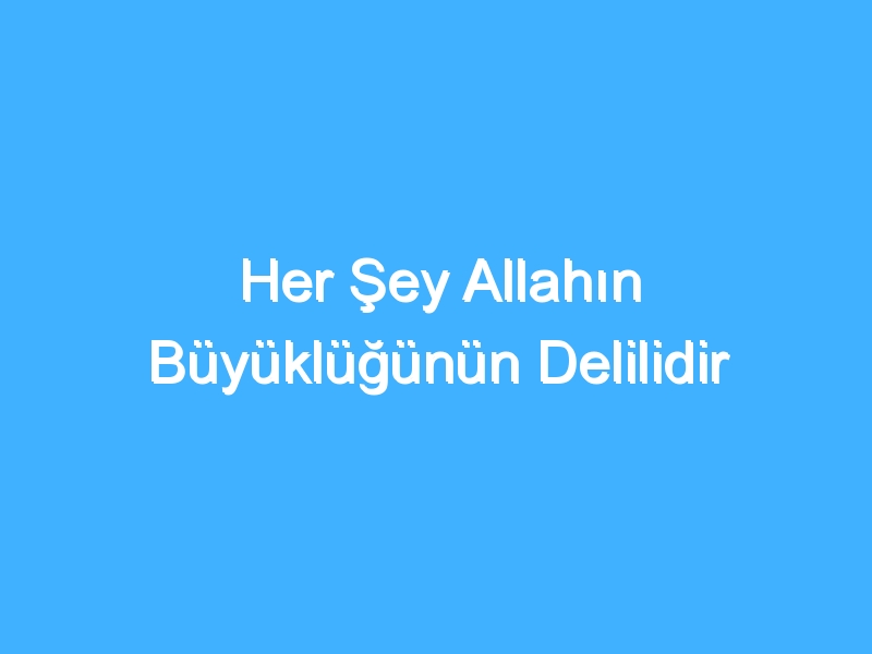 Her Şey Allahın Büyüklüğünün Delilidir