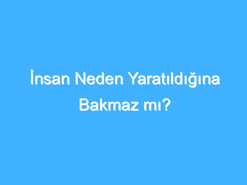 İnsan Neden Yaratıldığına Bakmaz mı?