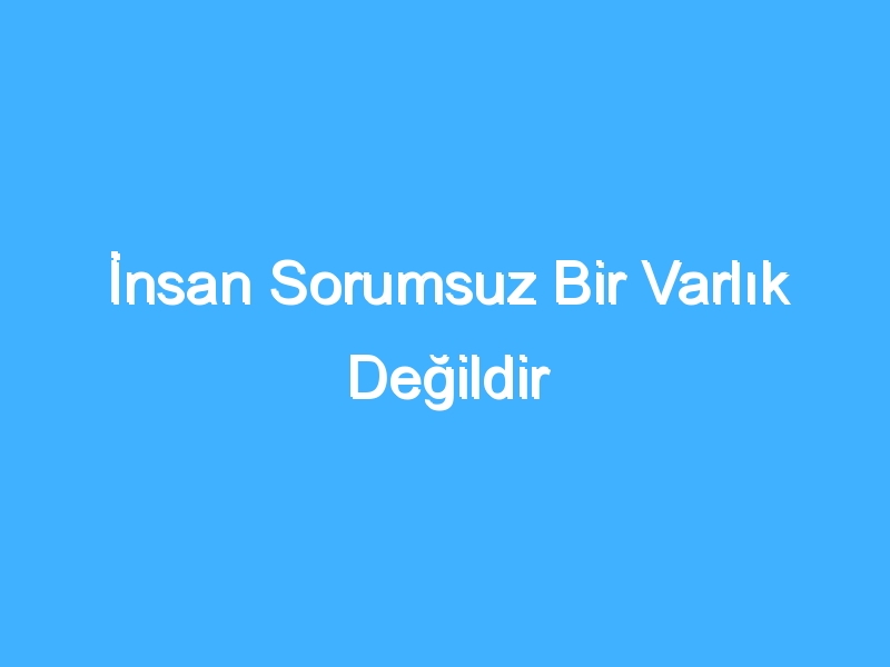 İnsan Sorumsuz Bir Varlık Değildir