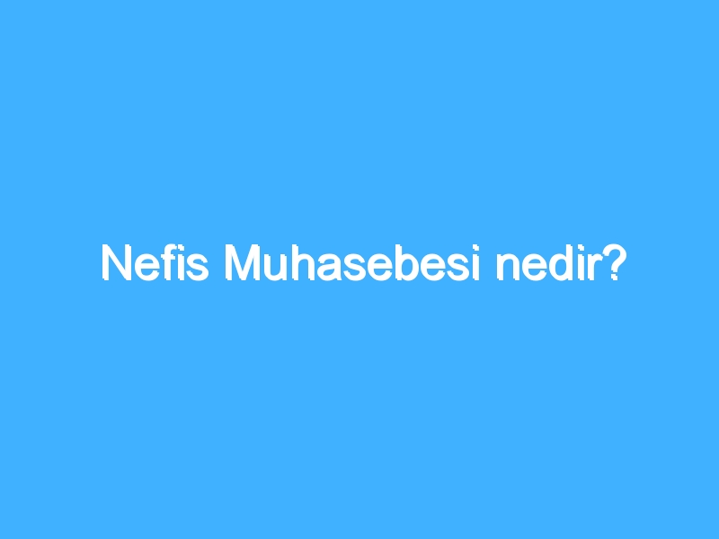 Nefis Muhasebesi nedir?