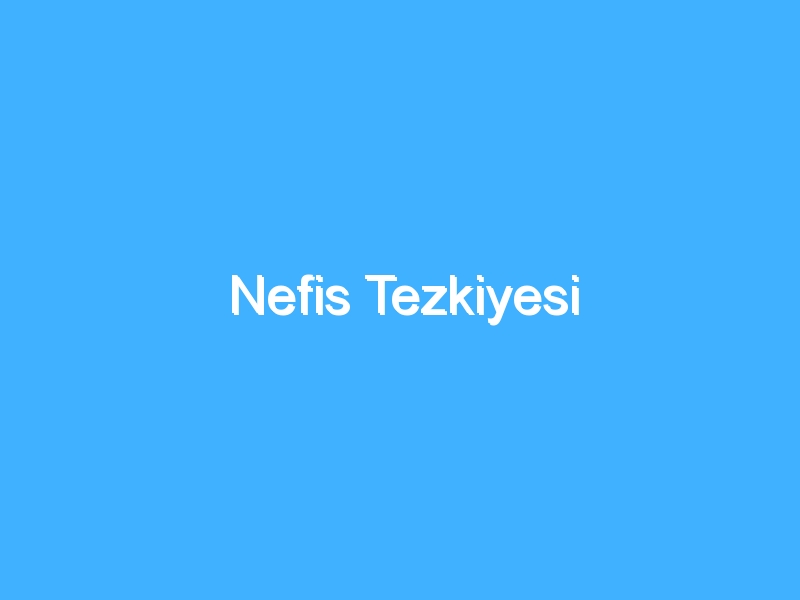 Nefis Tezkiyesi