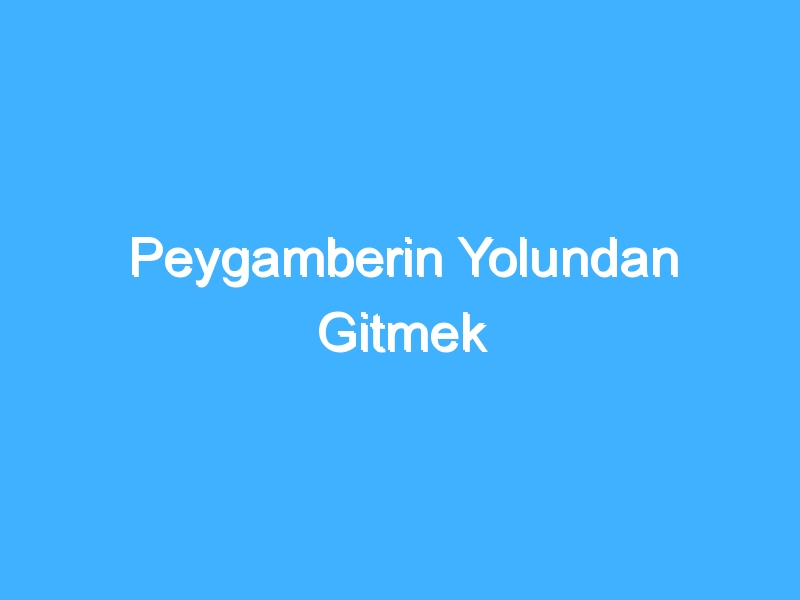 Peygamberin Yolundan Gitmek