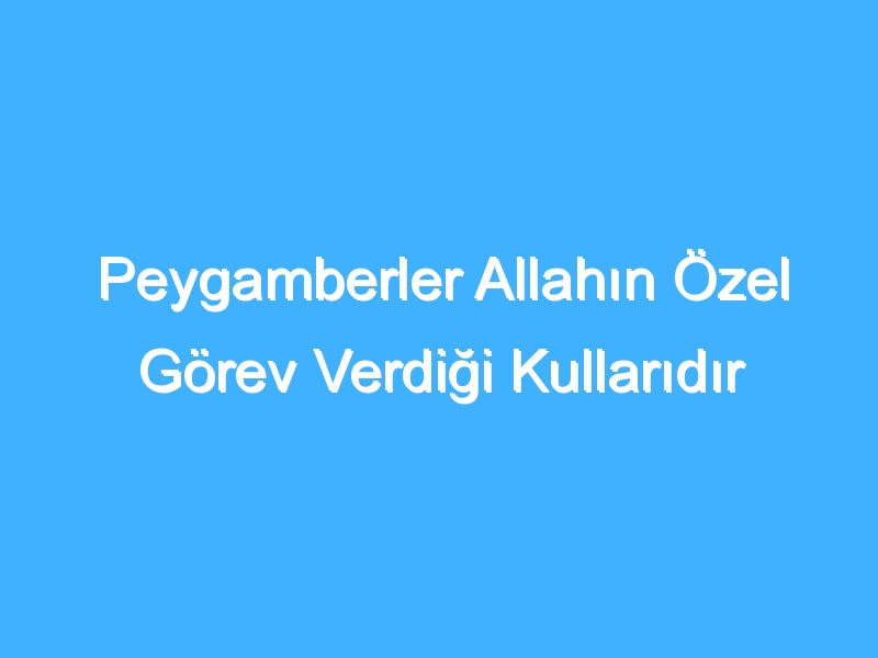 Peygamberler Allahın Özel Görev Verdiği Kullarıdır