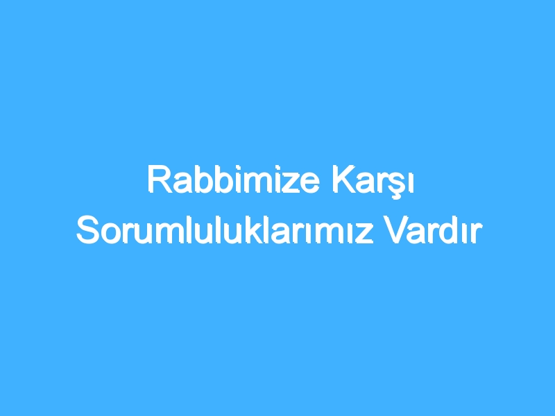 Rabbimize Karşı Sorumluluklarımız Vardır