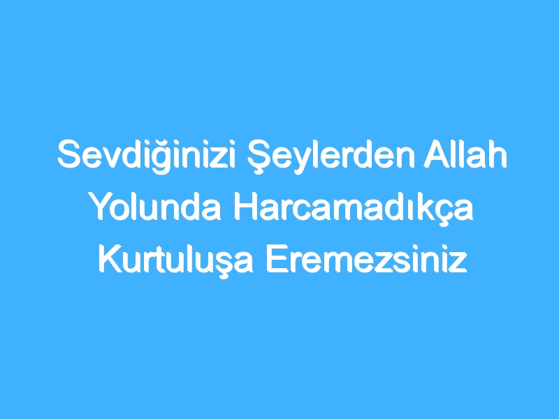 Sevdiğinizi Şeylerden Allah Yolunda Harcamadıkça Kurtuluşa Eremezsiniz