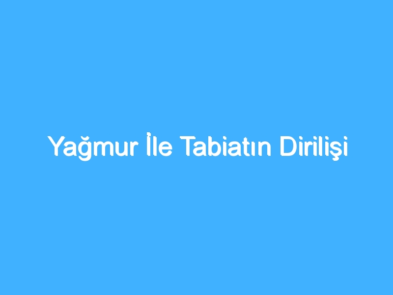 Yağmur İle Tabiatın Dirilişi