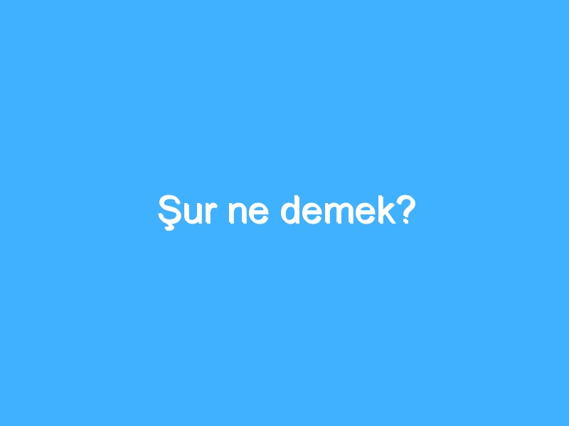 Şur ne demek?