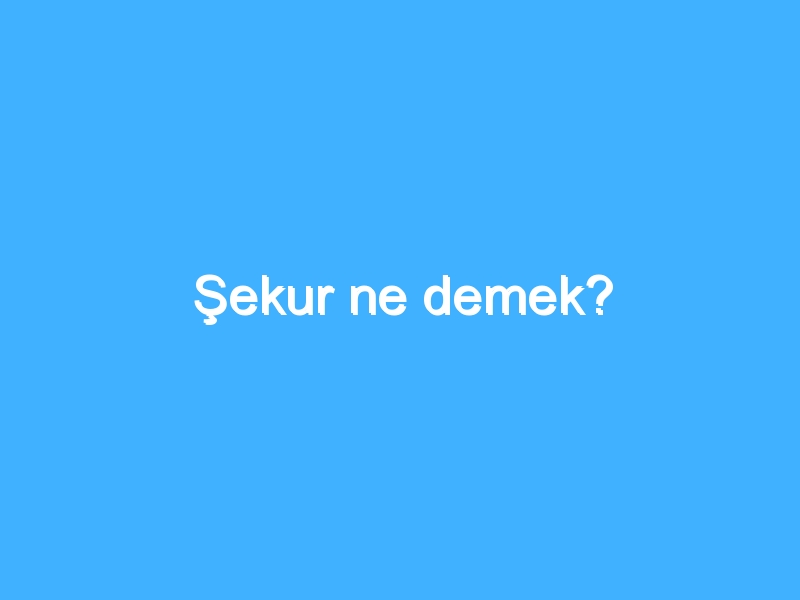 Şekur ne demek?