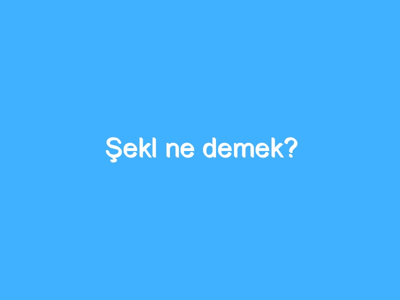 Şekl ne demek?