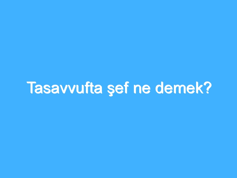 Tasavvufta şef ne demek?