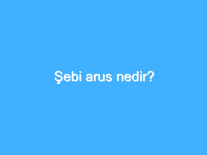 Şebi arus nedir?