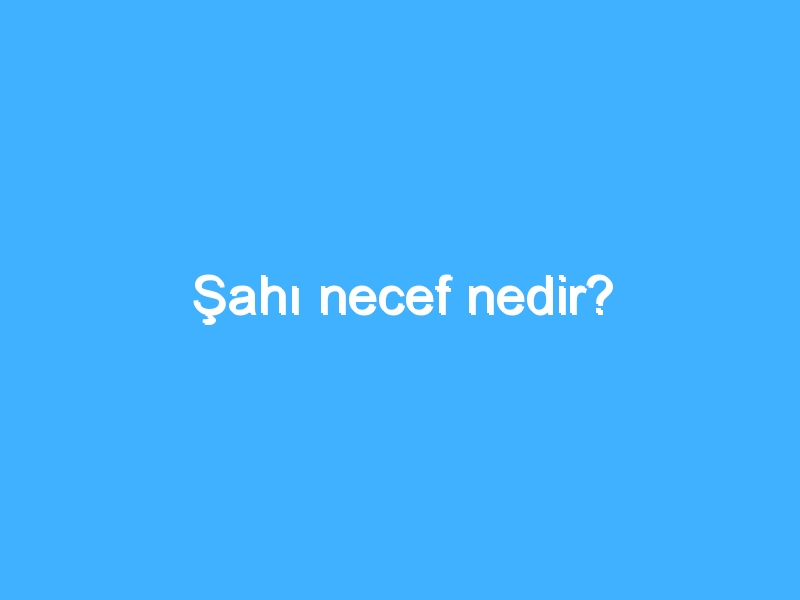 Şahı necef nedir?