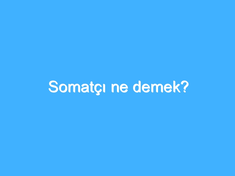 Somatçı ne demek?