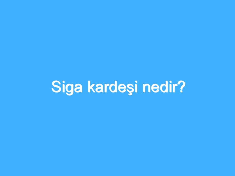 Siga kardeşi nedir?