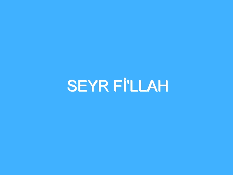 SEYR Fİ'LLAH