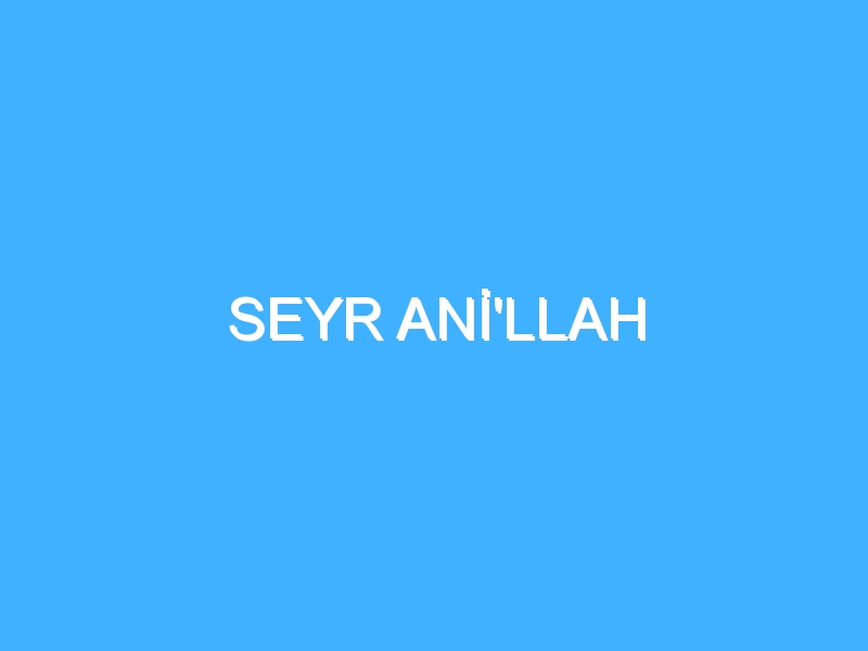 SEYR ANİ'LLAH