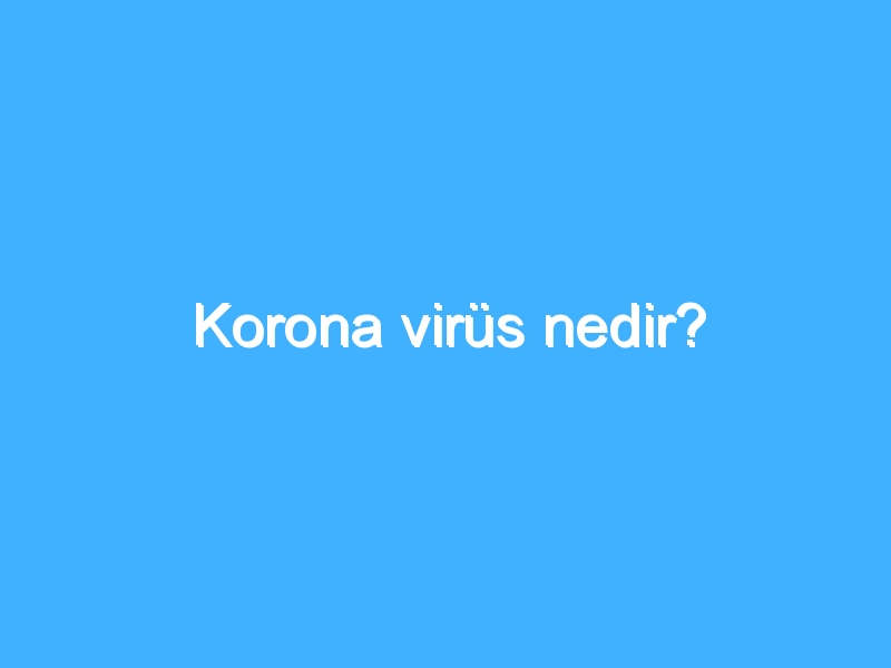 Korona virüs nedir?