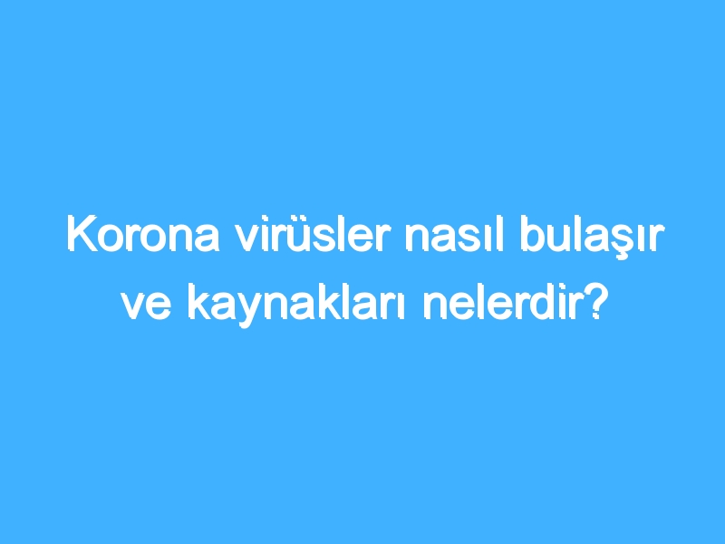 Korona virüsler nasıl bulaşır ve kaynakları nelerdir?