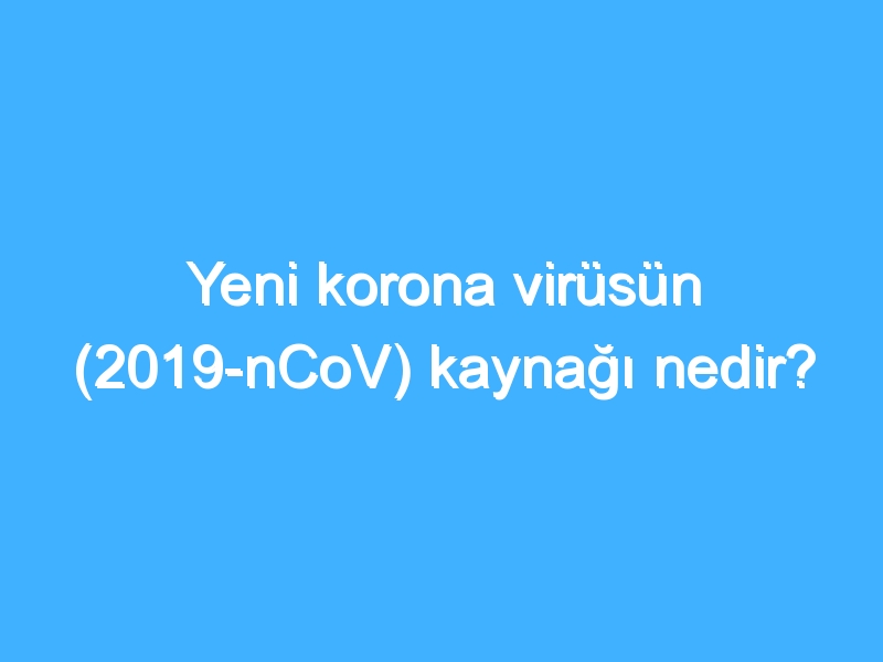 Yeni korona virüsün (2019-nCoV) kaynağı nedir?