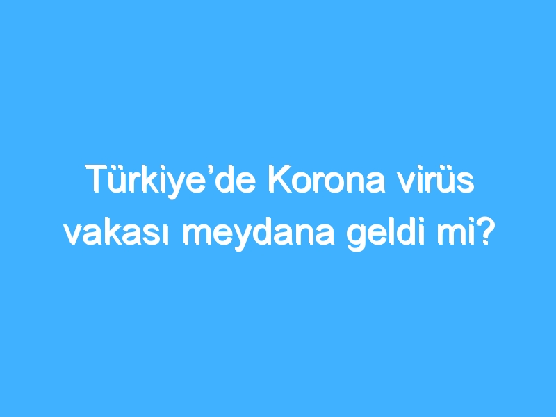 Türkiye’de Korona virüs vakası meydana geldi mi?