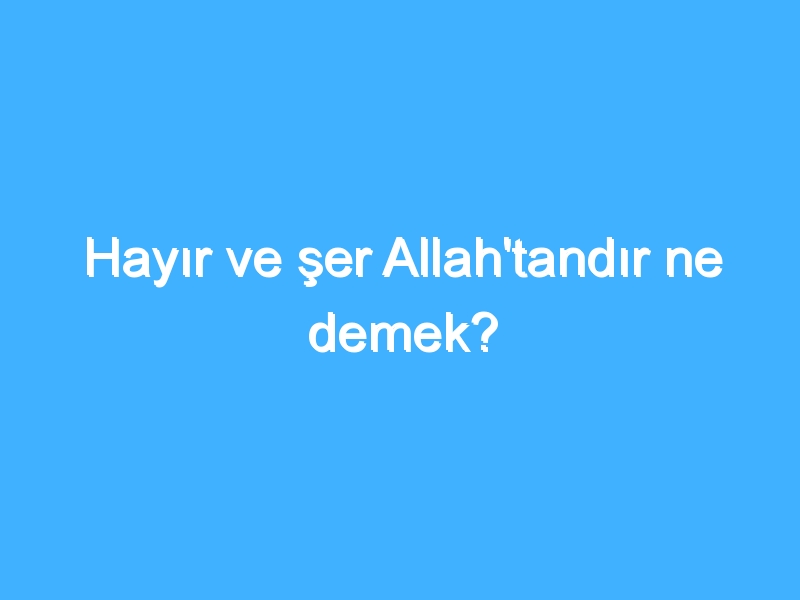 Hayır ve şer Allah'tandır ne demek?