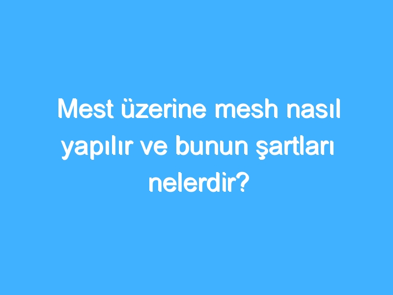 Mest üzerine mesh nasıl yapılır ve bunun şartları nelerdir?