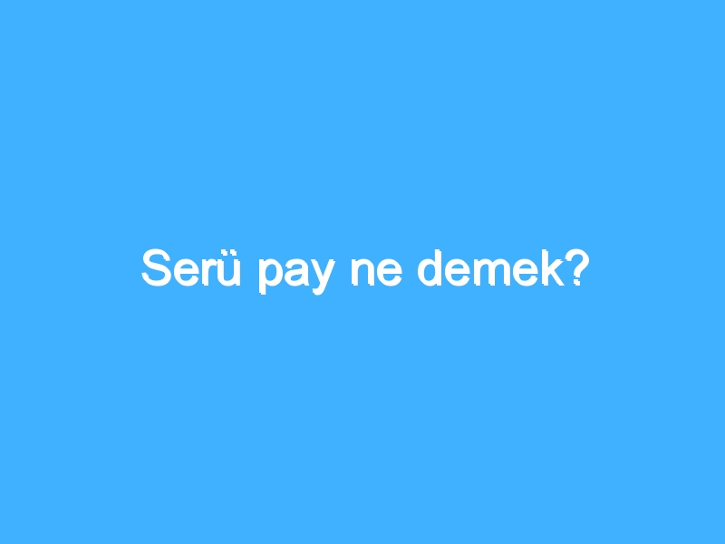 Serü pay ne demek?