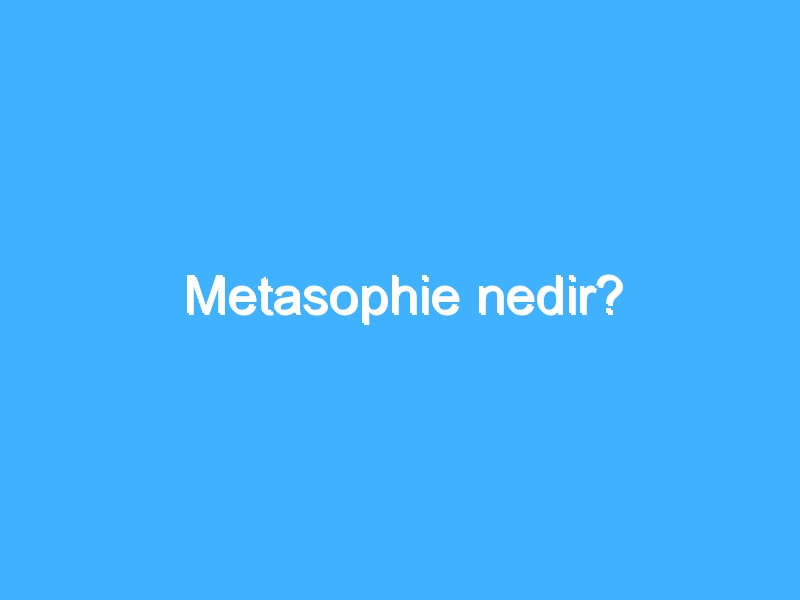 Metasophie nedir?