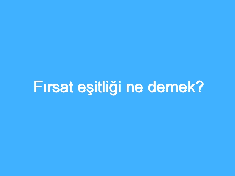 Fırsat eşitliği ne demek?