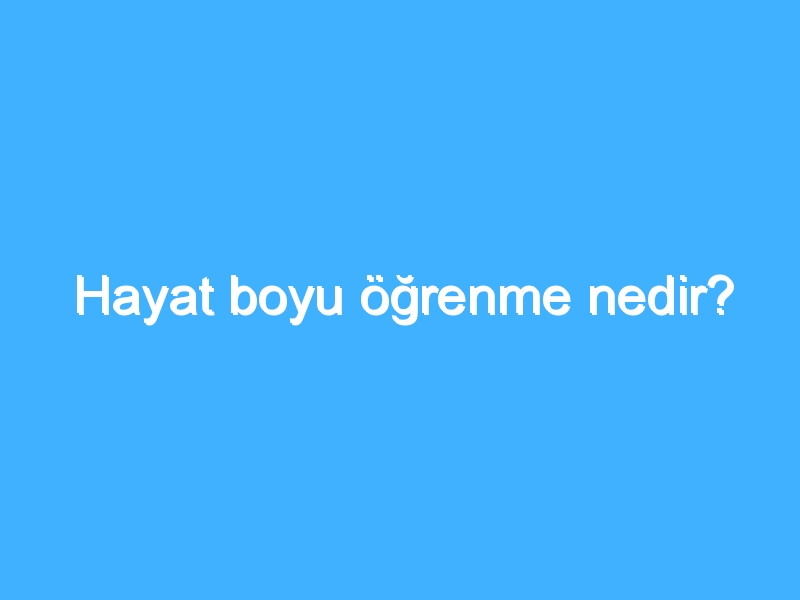 Hayat boyu öğrenme nedir?