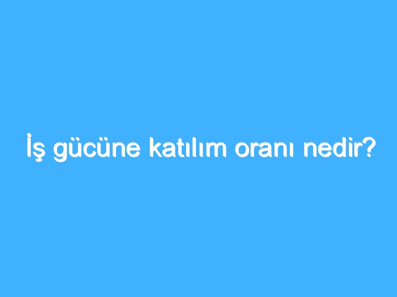 İş gücüne katılım oranı nedir?