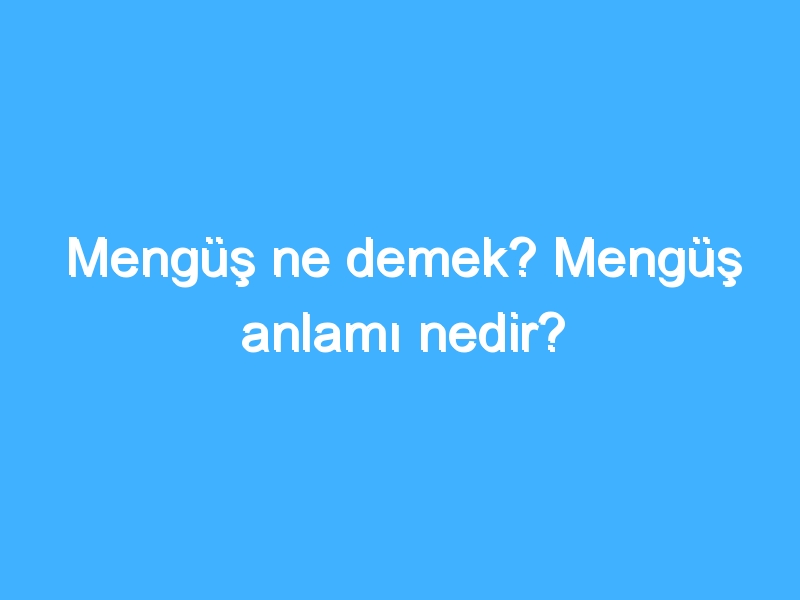 Mengüş ne demek? Mengüş anlamı nedir?