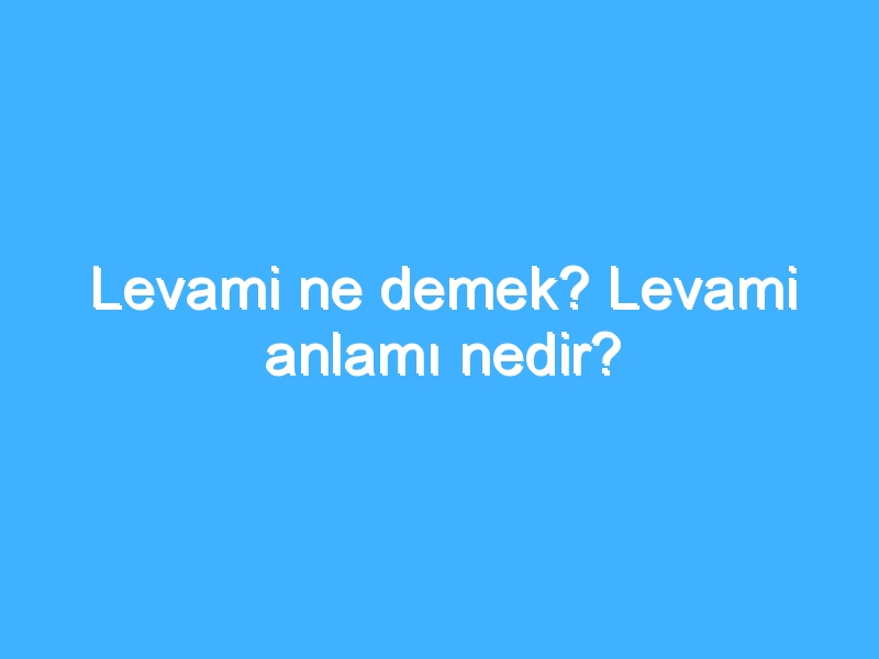 Levami ne demek? Levami anlamı nedir?