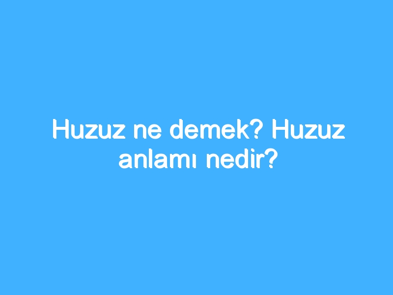 Huzuz ne demek? Huzuz anlamı nedir?