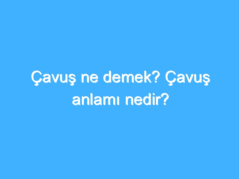 Çavuş ne demek? Çavuş anlamı nedir?