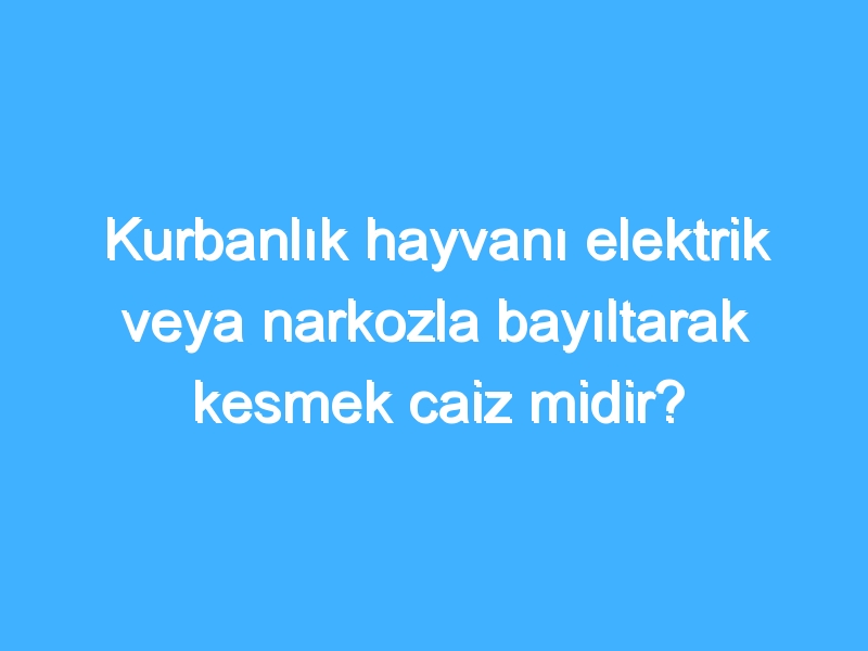 Kurbanlık hayvanı elektrik veya narkozla bayıltarak kesmek caiz midir?