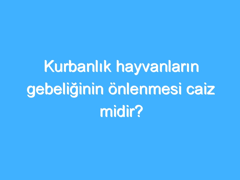 Kurbanlık hayvanların gebeliğinin önlenmesi caiz midir?