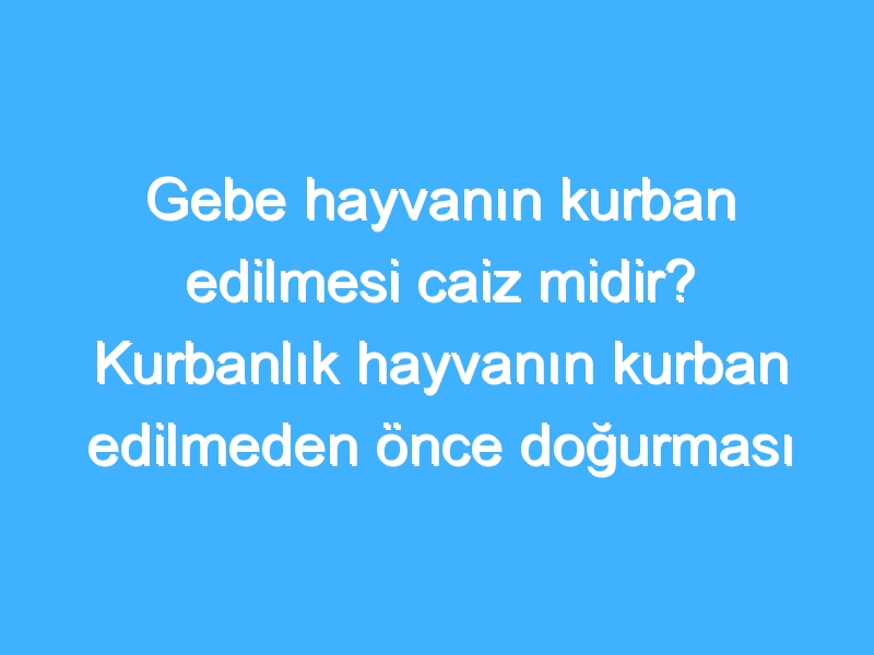 Gebe hayvanın kurban edilmesi caiz midir? Kurbanlık hayvanın kurban edilmeden önce doğurması durumunda ne yapılmalıdır?