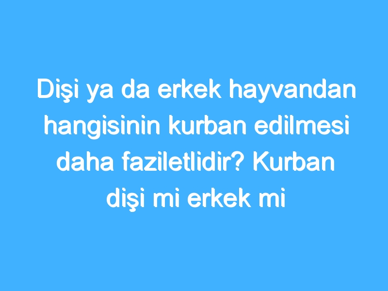 Dişi ya da erkek hayvandan hangisinin kurban edilmesi daha faziletlidir? Kurban dişi mi erkek mi olmalı?