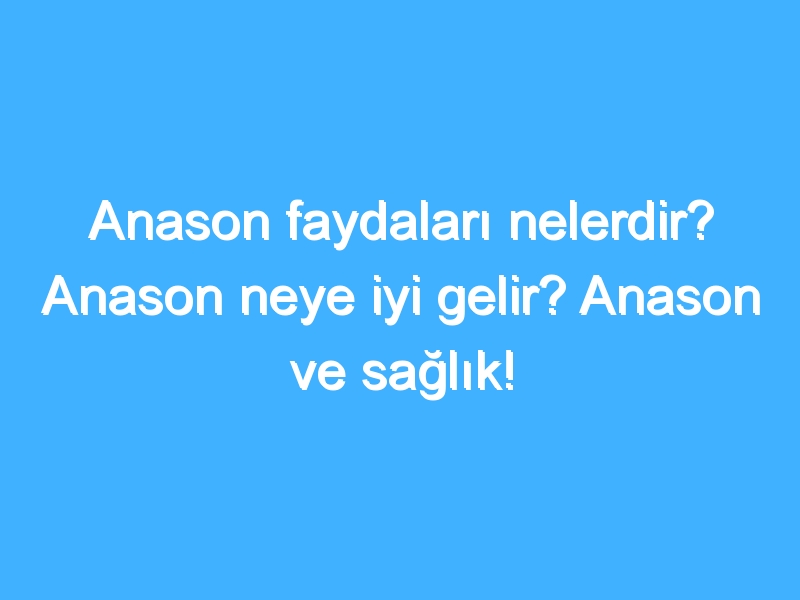 Anason faydaları nelerdir? Anason neye iyi gelir? Anason ve sağlık!