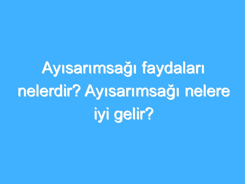 Ayısarımsağı faydaları nelerdir? Ayısarımsağı nelere iyi gelir?