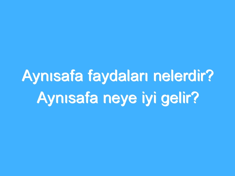 Aynısafa faydaları nelerdir? Aynısafa neye iyi gelir?